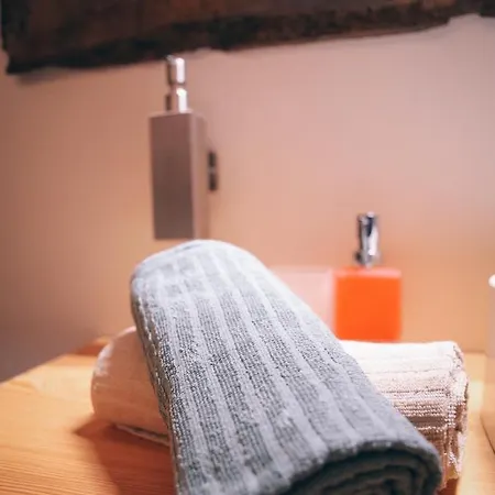 בית הארחה Maison Farinet סנט-רמי-אן-בוסס