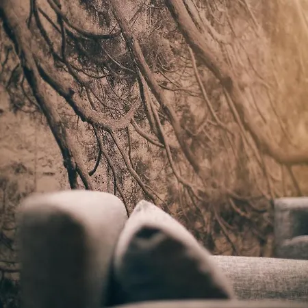 בית הארחה Maison Farinet