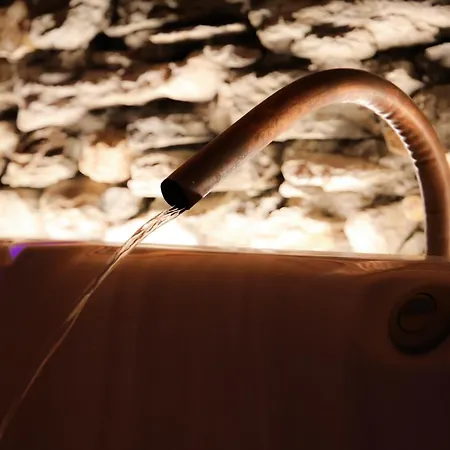 בית הארחה Maison Farinet סנט-רמי-אן-בוסס