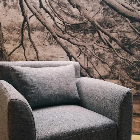 Maison Farinet 게스트하우스 상레미 앙보스