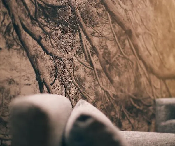 Affittacamere Maison Farinet